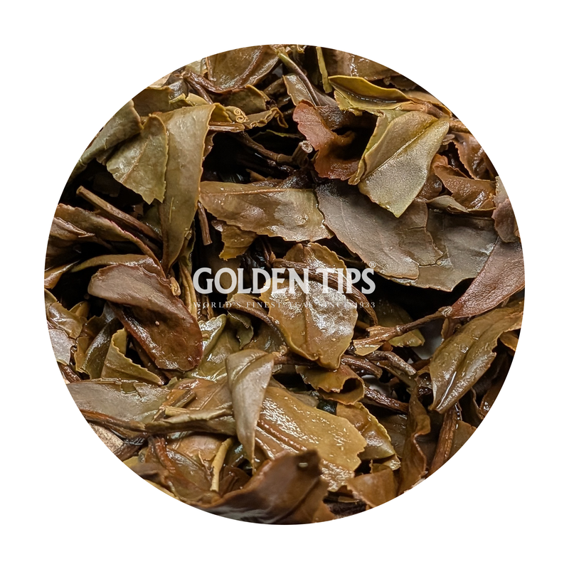 Wah - Himalayan Summer Kangra Tea Second Flush 2026