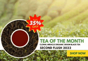 Golden Tips Tea: Buy Premium Loose Leaf Indian Tea, Direct from source