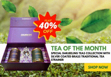 Golden Tips Tea: Buy Premium Loose Leaf Indian Tea, Direct from source