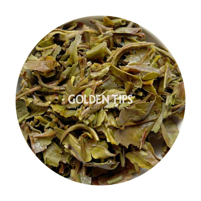 Upper Fagu - Spring Ardour Darjeeling Tea First Flush 2026