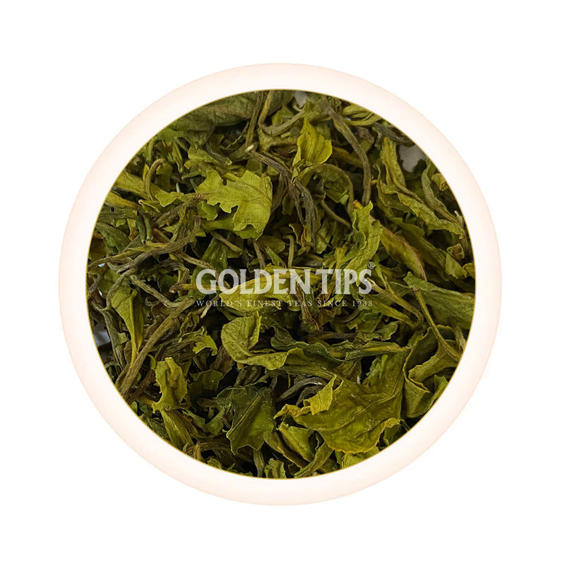 Green Queen Organic Nilgiri Tea First Flush 2025