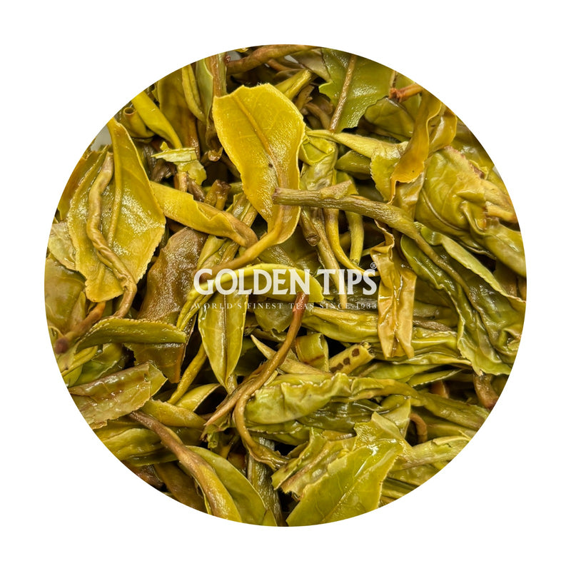 Mim - Spring Gaiety Darjeeling Black Tea First Flush 2026
