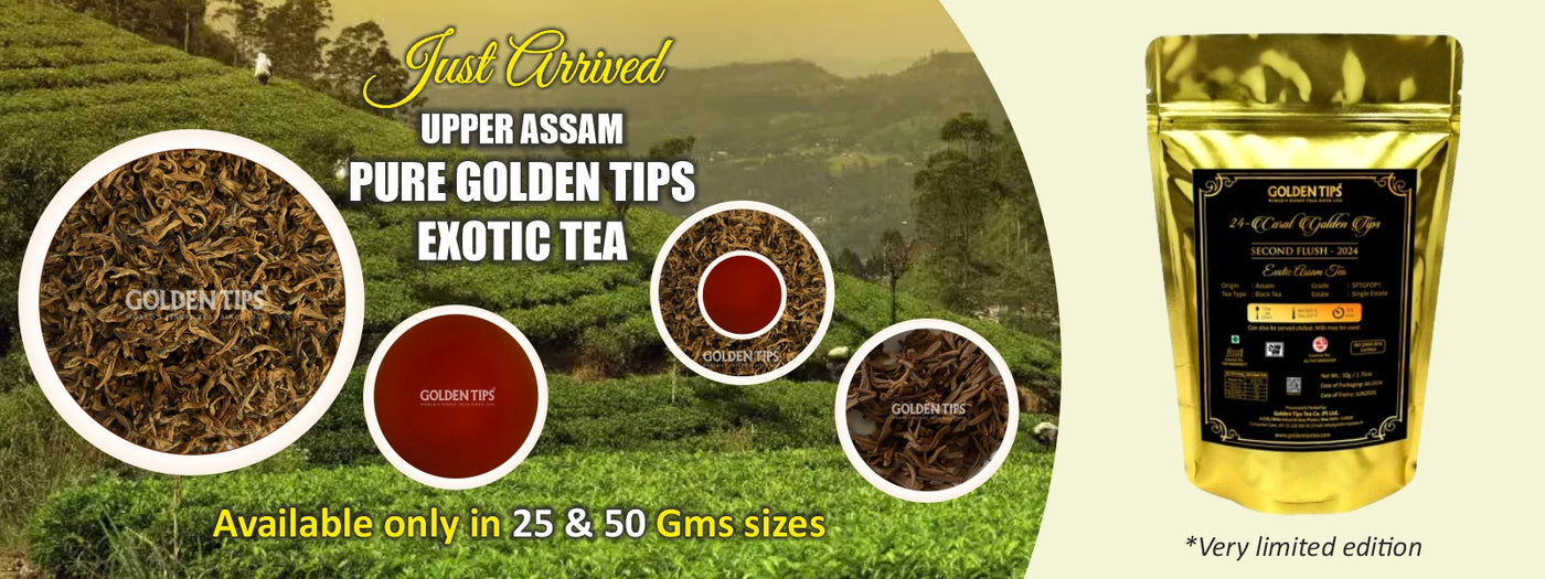 Golden Tips Tea: Buy Premium Loose Leaf Indian Tea, Direct from source