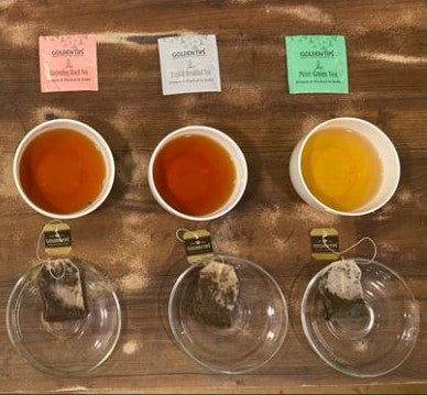 Aroma Black & Green Tea Assortment Individual Envelope - Tea Bags
