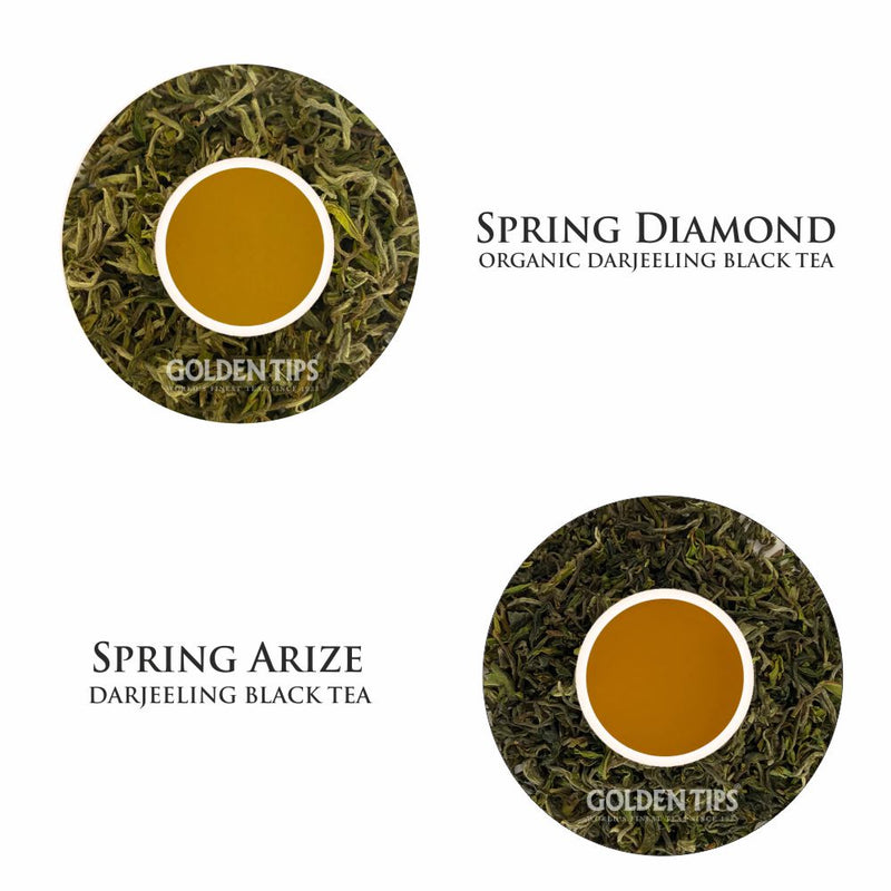 Darjeeling Spring Stars Black Tea First Flush-2023